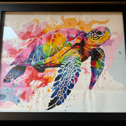 Hand painted turtle